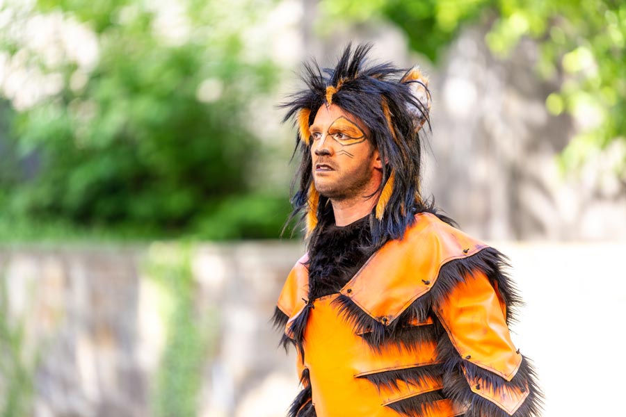 Das Dschungelbuch 2019 – Bild 9